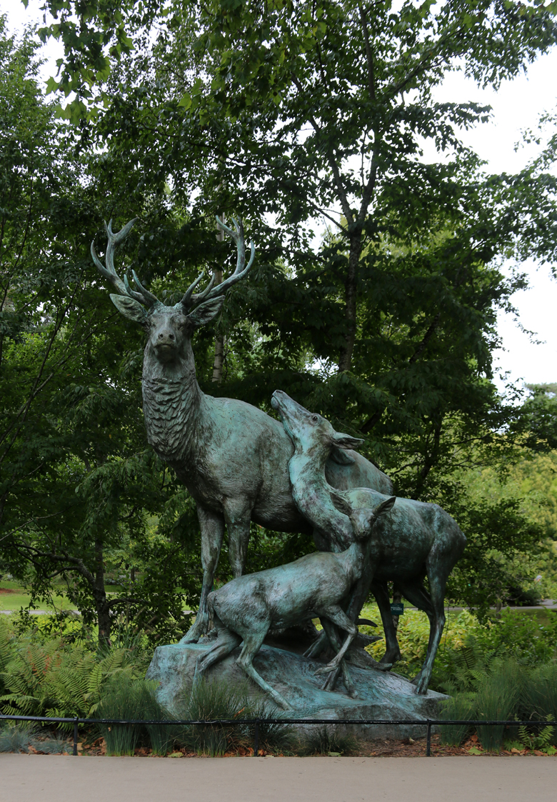 jardin plantes nantes 3