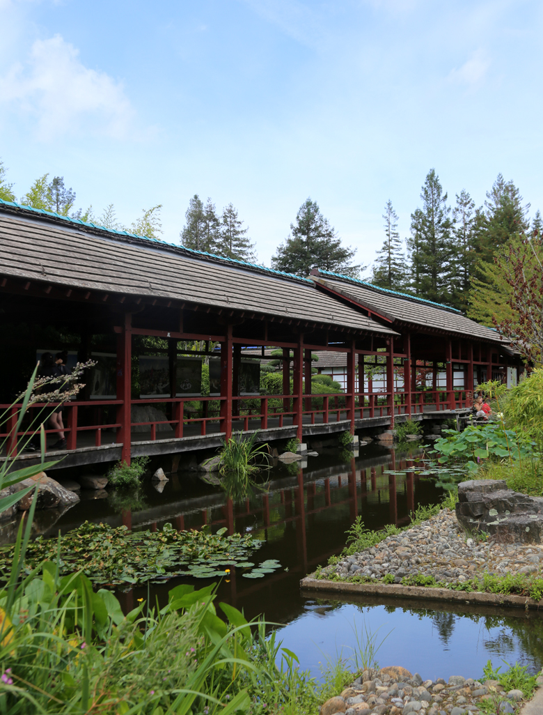 Jardin japonais de l'ile de versailles a nantes